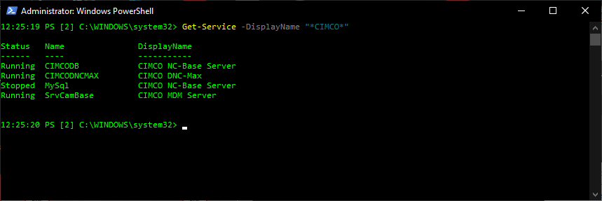 Check License Server