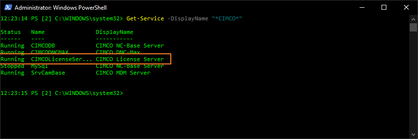 License Server Visible