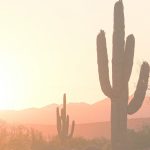 Arizona manufacturers